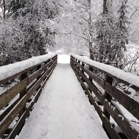 Haus Elisabeth Netzer Apartment *