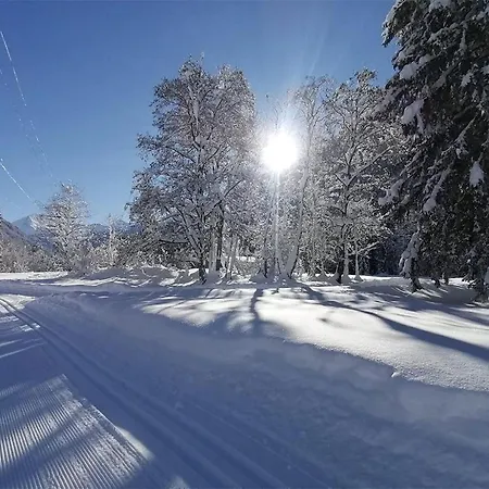 Haus Elisabeth Netzer * Sankt Gallenkirch